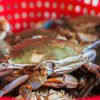 A crab sitting in a basket at Pinchers Seafood in Bay St. Louis. Photo by Lyn Moore.