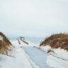 Shoreline at the Gulf Islands Seashore National Park. Photo by Lyn Moore.