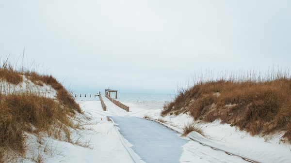 Shoreline at the Gulf Islands Seashore National Park. Photo by Lyn Moore.