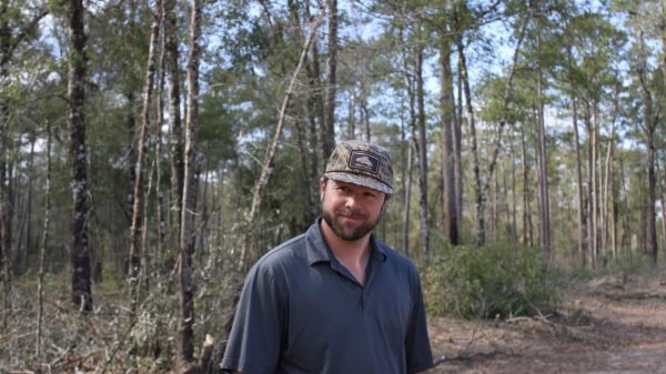 Dillon McInnis in one of the pine forests his company helps manage. Photo by Kala Nance.