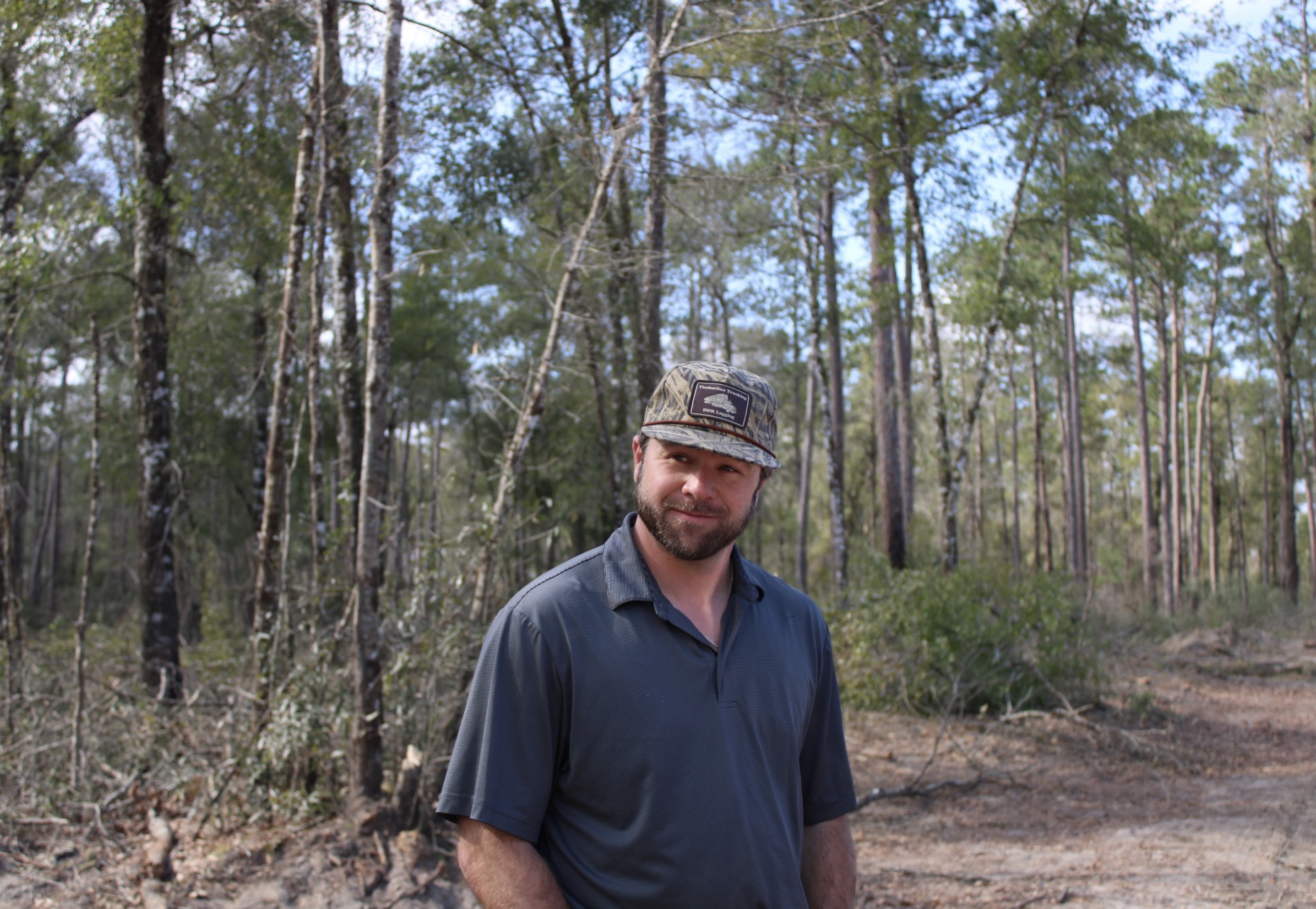 Mississippi Timber: Balancing Economic Growth and the Environment